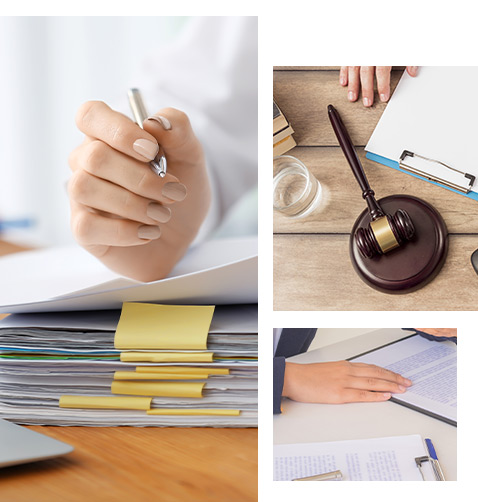 Otros Servicios de Gestoría